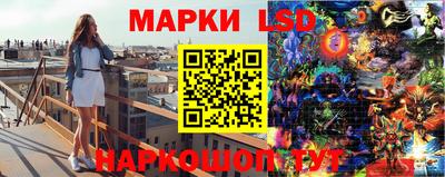 прущие крисы Апшеронск