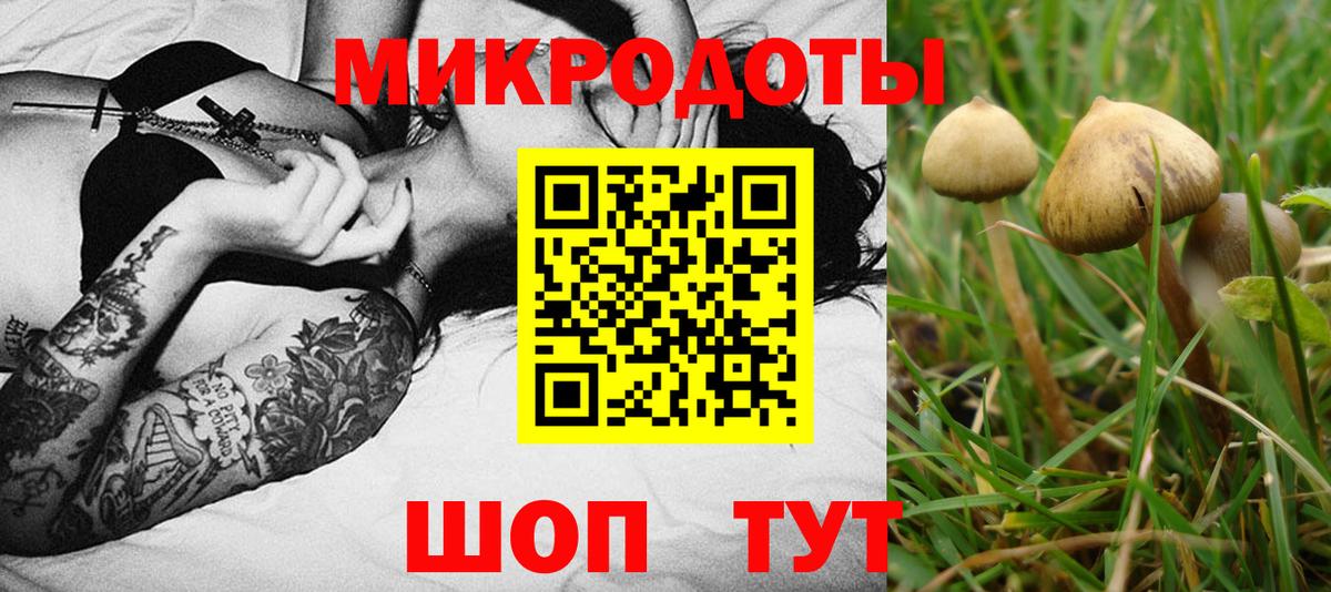 Псилоцибиновые грибы Psilocybine cubensis  Вход с VPN  Волжский 